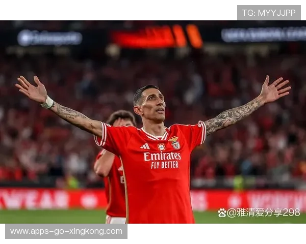 本菲卡若稳住青训产出，俱乐部未来更可持续