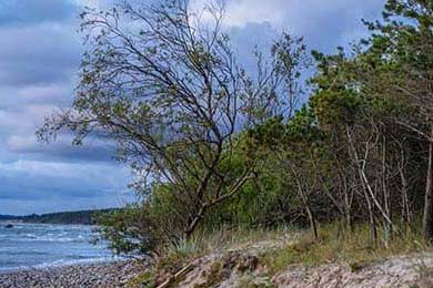 AC米兰豪取胜利，射手梅开二度助球队登顶，米兰最佳射手