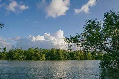 Aster战术布置引发热议，aster战队最新成员2020