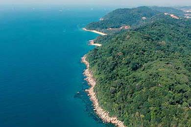 2022年季后赛：库里在第三节一人投中五个三分，瞬间锁定胜局，库里本赛季投进了多少三分